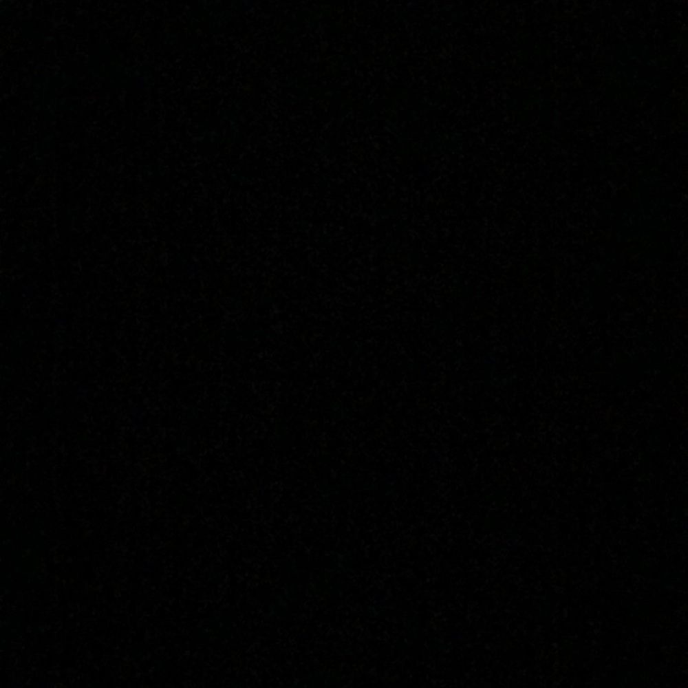 Meet your Posher, Lily